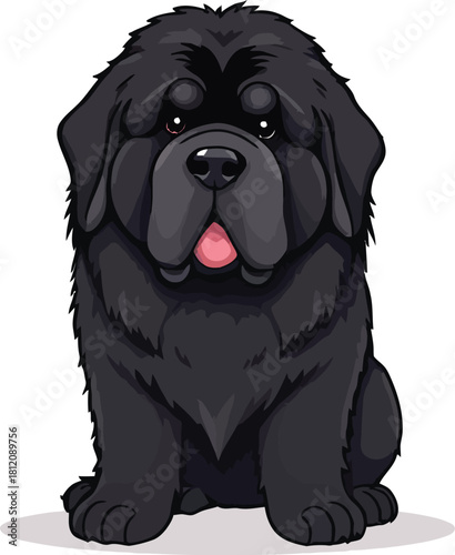 Cute cartoon a illustrator vector Newfoundland dog
