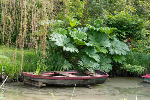 Gumera, Jardin Van Beek, Saint Paul, Oise, 60, France