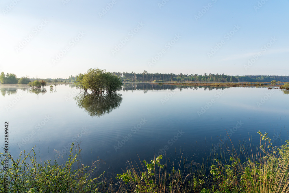 Obraz premium In the early morning a lake with a clear reflection of the trees. The first sun light provide a warm light. The scene is calm and peaceful. Dwingelderveld in the Netherlands.