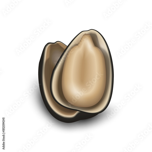 Shelled sunflower kernels, macro, nutrition, and agronomy