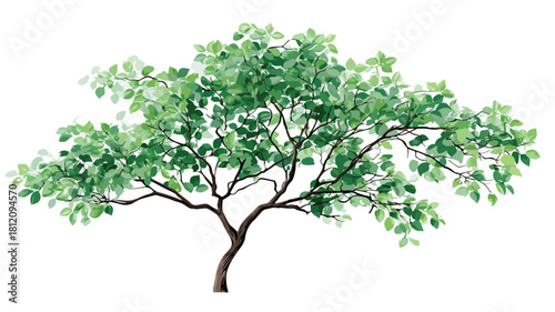 Lush Green Tree with Vibrant Leaves and Branches Vector Illustration