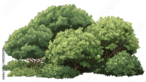 Bushes Located Close Together Vector Illustration
