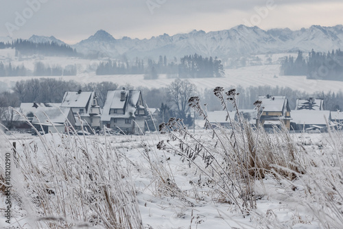 Fototapeta Naklejka Na Ścianę i Meble -  Snowy village landscape with frosty plants and mountains