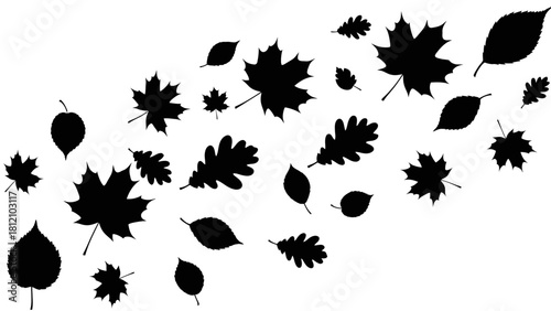 Silhouette of various autumn leaves scattered against a white background
