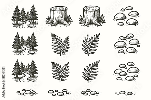 Stump pebbles calm sketch forest icon tree vector fern path woodland ink