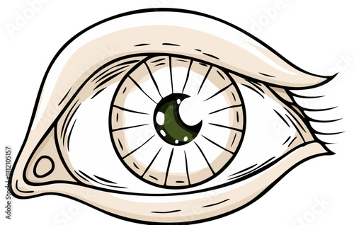 Stylized cartoon drawing of a human eye with a dark green iris and detailed pupil and eyelashes