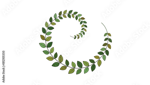 Vine with leaves in a spiral on a white background