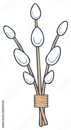 Pussy willow branches tied with rope simple illustration blooming in spring