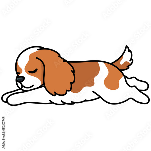 Cheerful Cavalier Dog Stretching