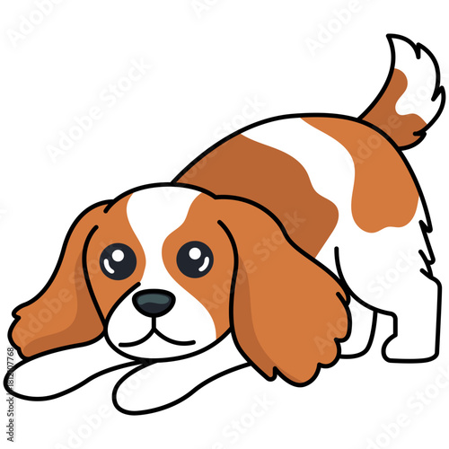 Cavalier Dog Play Bow/Crouch