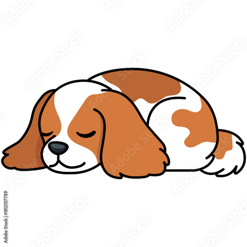 Sleeping Cozy Cavalier Dog