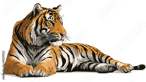 Majestic Sitting Tiger Vector Illustration with Outline for Graphic Design Projects