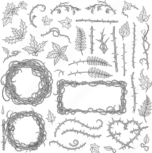 Thorn and Vine Ornaments and Frames