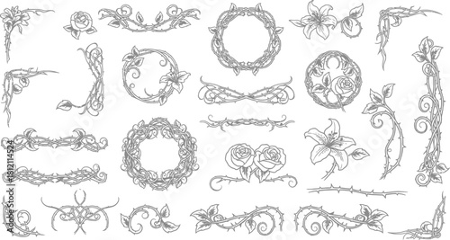Floral Border Elements and Ornate Dividers with Thorns and Roses