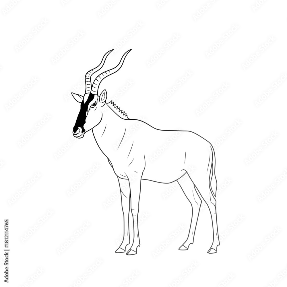 Obraz premium A minimalist black line drawing of a hartebeest isolated on transparent background