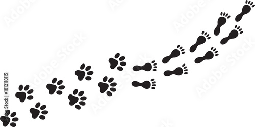 Animal and Human Footprints Trail on White Background
