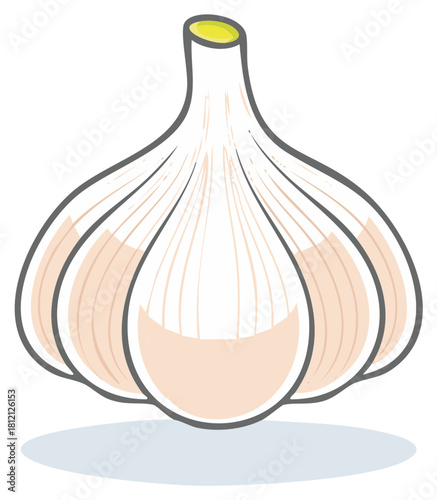 Stylized whole garlic bulb illustration a vibrant healthy food ingredient for cooking and culinary applications