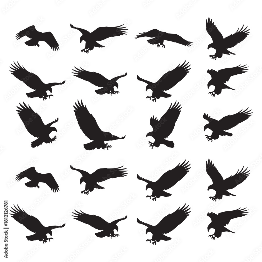 Fototapeta premium Eagle flying silhouettes bundle