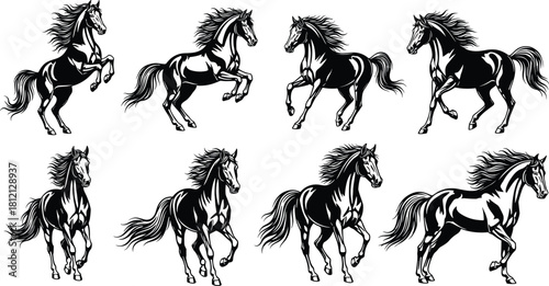 Set of black horse silhouettes showing stallions running, galloping, and rearing up, vector illustration collection isolated on white background for logo design