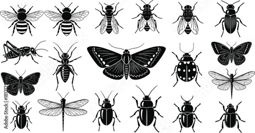 Set of black insect silhouettes including bee, fly, beetle, butterfly, moth, grasshopper, ladybug and dragonfly, vector illustration isolated on white background