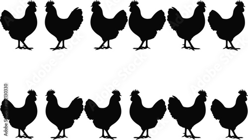 Set of black silhouettes showing roosters standing and walking, vector illustration of farm poultry isolated on white background for logo design