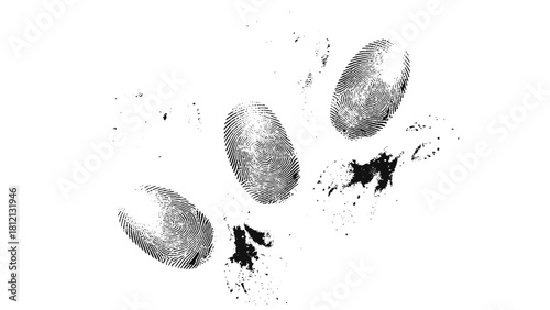 Vector black fingerprint background. Detailed fingerprint on grunge background symbolizing identity verification.