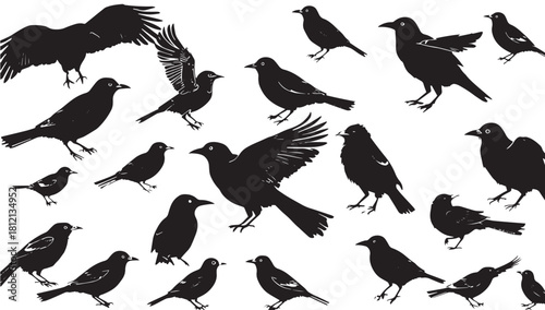 Elegant silhouettes of crows and ravens in various poses, perfect for adding a touch of mystery and nature to your design projects or artistic creations