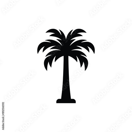 Black silhouette of a tropical palm tree