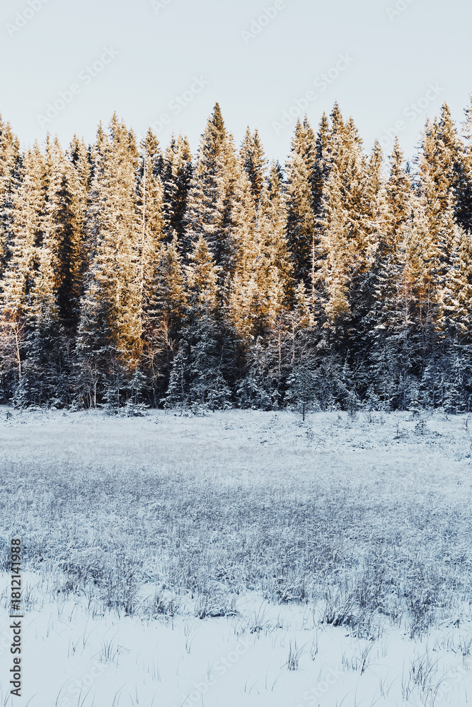 Fototapeta premium Landscape from and around the Vindflomyrene Nature Reserve at the Totenåsen Hills, Norway, November 2025.