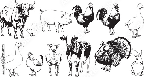 Collection of farm animal line art drawings