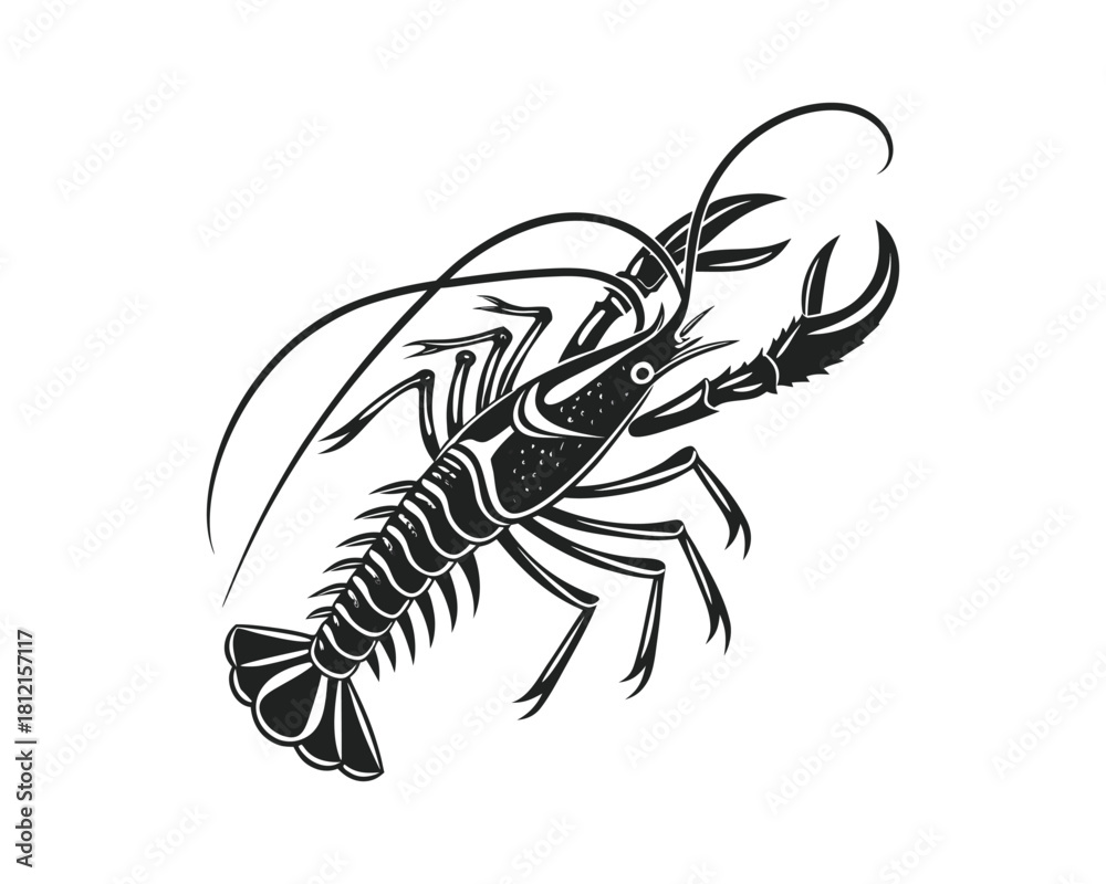 Obraz premium A striking, high-contrast black and white sketch of a lobster, showcasing its segmented body, claws, and antennae with intricate detail
