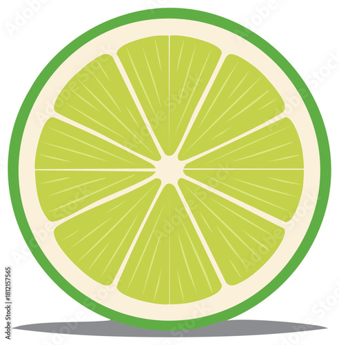 Slice of vibrant green lime fruit with internal segments and white background casting a shadow