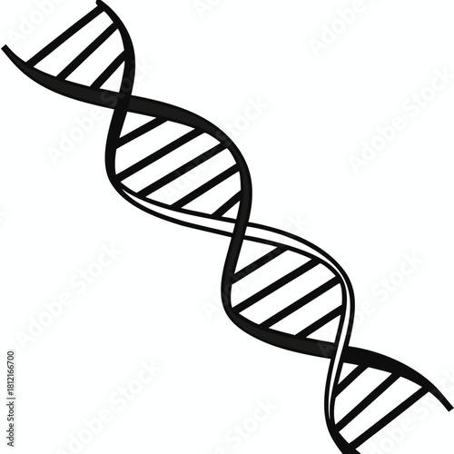 DNA Double Helix in Silhouette: A meticulously crafted illustration of the iconic DNA double helix, rendered in stark black and white, symbolizing the essence of life and genetic code.