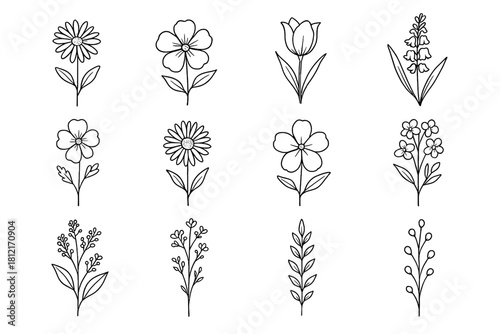 Icon artistic stems natural floral pressed set handdrawn outline vector icons flowers