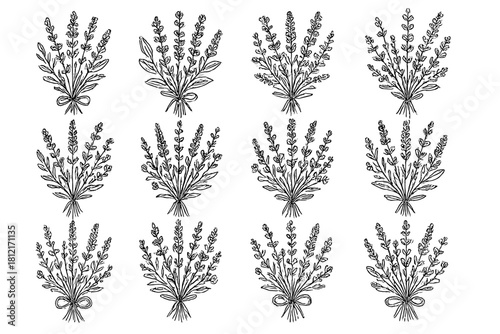 Rustic lavender icon herbs floral icons minimal arrangement ribbon vector tied