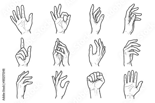 Detailed artistic hand set sketches icon poses vector collection expressive hands pose