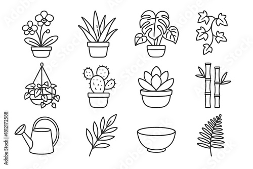 Bamboo bowl vector monstera branch cactus houseplant collection pot watering icon fern