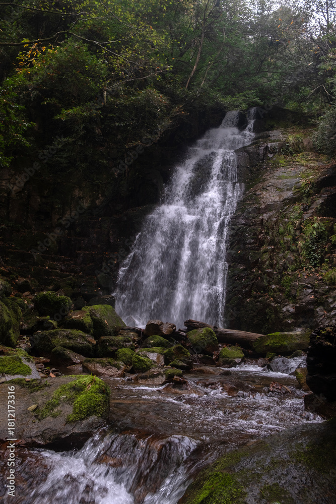 Fototapeta premium Mossy forest waterfall in autumn