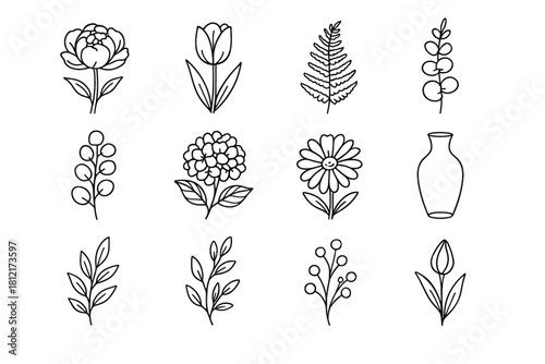 Vase peony icon berry twig branch set eucalyptus bud vector poppy botanical