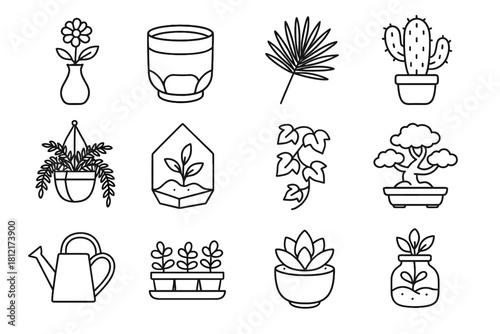 Ceramic tray vector succulent bonsai terrarium plant watering modern icons icon glass