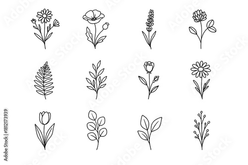 Icon tulip wildflower set flower leaf vector daisy rose fern cluster clover