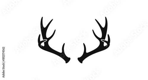 Deer antlers with transparent background