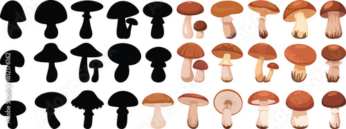 Mushroom silhouettes, colored illustrations, matching activity, fungi shapes, botanical design, educational puzzle, cap styles, stem textures, nature icons