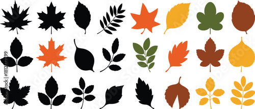 Leaf illustrations, autumn colors, botanical icons, seasonal design, foliage shapes, nature sketch, plant species, vector, fall, decor