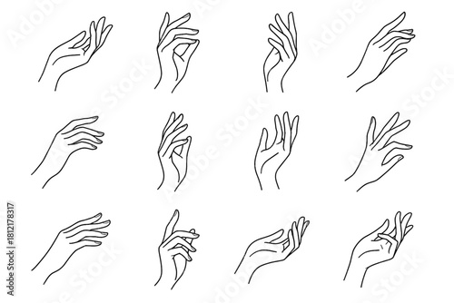 Gentle elegant gesture curved line feminine icon lines vector flowing hand hands