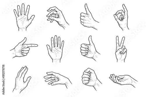Vector anatomy hand dynamic icon study icons positions finger sketch handdrawn ink