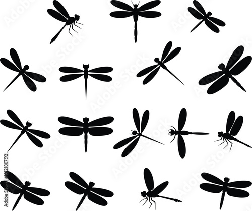 Dragonfly silhouettes, insect vector icons, flying poses, wing positions, black outline, nature design, entomology reference, stylized, minimal, graphic