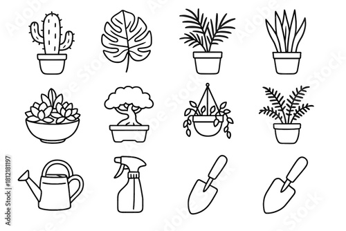 Pot collection succulent fern palm houseplant can sprayer icon vector trowel leaf