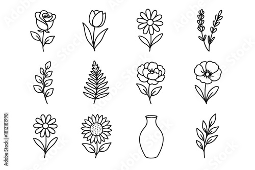 Chamomile sprig floral eucalyptus tulip grid leaf vector icon peony poppy rose