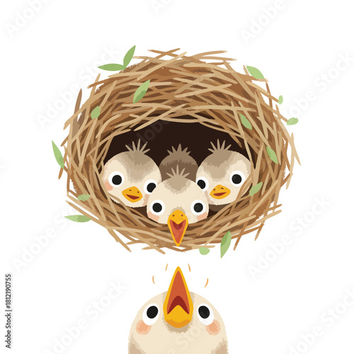 Three Nestling Chicks in Nest With Parent.